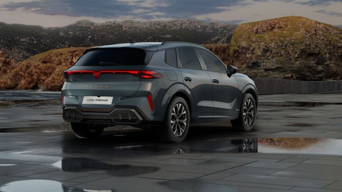 Cupra Terramar 2.0 TSI (204 Hp) DSG7 4WD na operativní leasing za 9559 Kč/měs.