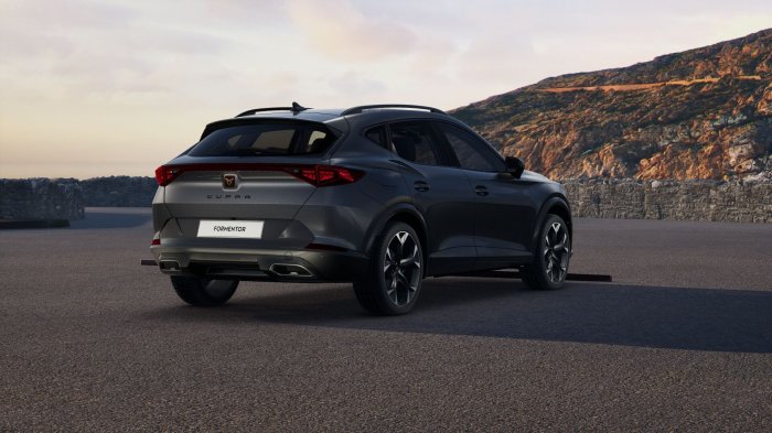 Cupra Formentor 1.5 TSI (150 Hp) DSG na operativní leasing za 7762 Kč/měs.