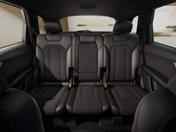 Audi Q7 50 TDI quattro Mild hybrid (286 Hp) Tiptronic 8st. na operativní leasing za 16788 Kč/měs.