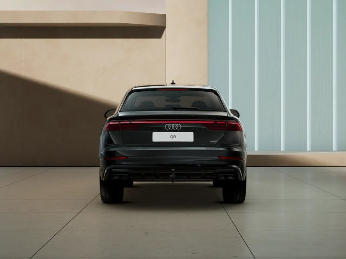 Audi Q8 50 TDI quattro Mild hybrid (286 Hp) Tiptronic 8st. na operativní leasing za 21792 Kč/měs.