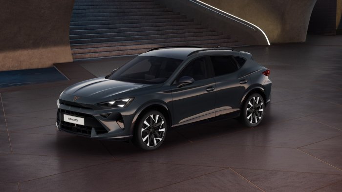 Cupra Formentor 2.0 TSI (333 Hp) DSG 4WD na operativní leasing za 11290 Kč/měs.