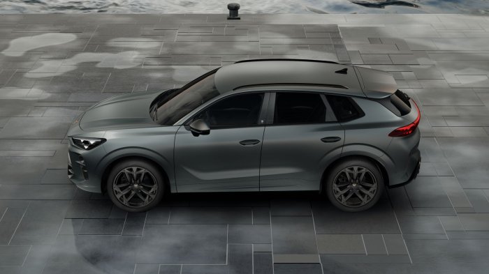 Cupra Terramar 2.0 TSI (265 Hp) DSG 4WD na operativní leasing za 15959 Kč/měs.