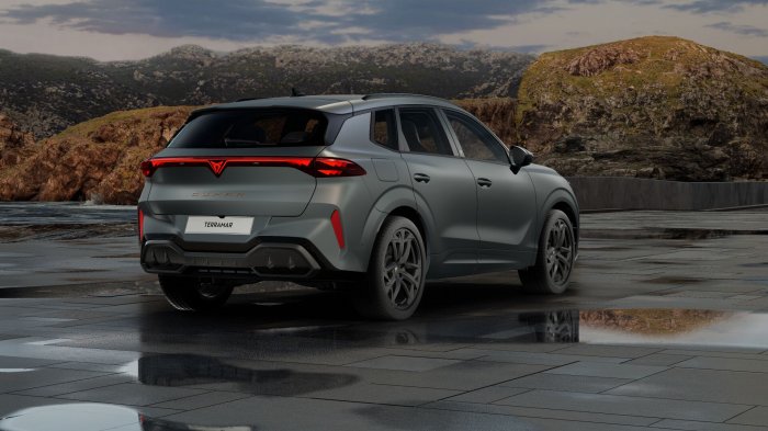 Cupra Terramar 2.0 TSI (265 Hp) DSG 4WD na operativní leasing za 15959 Kč/měs.