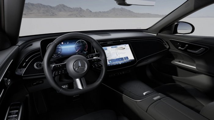 Mercedes-Benz Třída E E 220d (197 Hp) Mild Hybrid 4MATIC 9G-TRONIC na operativní leasing za 24725 Kč/měs.