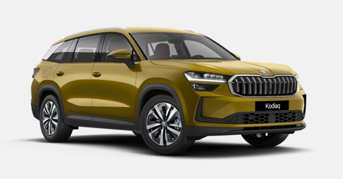 Škoda Kodiaq 2.0 TDI (193 Hp) 4x4 DSG na operativní leasing za 11238 Kč/měs.